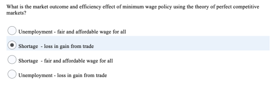 What is the market outcome and efficiency effect of minimum wage policy using the theory of perfect competitive markets? O Un