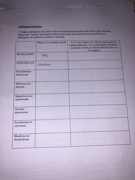 Additional Questions: 1. Gather information from each of the six tested bacterial strains and write a short summary about eac