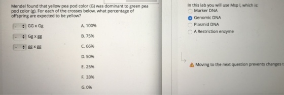 Mendel found that yellow pea pod color (G) was dominant to green pea Color offspring are expected to be yellow? A. 10096 GG x Gg B. 75% Gg x gg C. 66% ggxgg D. 50% E. 25% 33% G. 096 In this lab you will use Msp I, which is: Marker DNA O Genomic DNA Plasmid DNA A Restriction enzyme A Moving to the next question prevents changes t