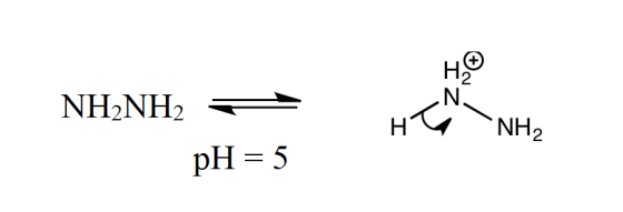 NH-NH3 = NH2NH2 pH = 5 N. Hry NH2