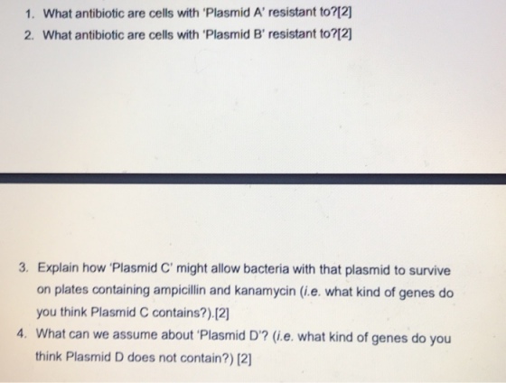 1. What antibiotic are cells with Plasmid A resistant to?12] 2. What antibiotic are cells with plasmid B, resistant to?[2] 3. Explain how Plasmid C might allow bacteria with that plasmid to survive on plates containing ampicillin and kanamycin (i.e. what kind of genes do you think Plasmid C contains?).12) 4. What can we assume about Plasmid D? (i.e. what kind of genes do you think Plasmid D does not contain?) [2