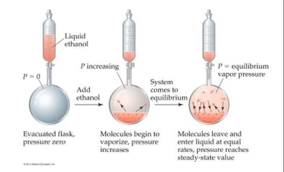 Liquid ethanol mm P increasing P = equilibrium vapor pressure P=0 Add System comes to equilibrium ethanol Evacuated flask, pr