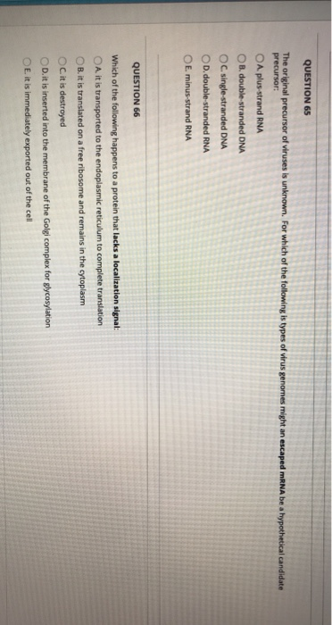 QUESTION 65 The original precursor of viruses is unknown. For which of the following is types of virus genomes might an escap