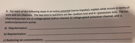 ana ion channels. The two ions in questions are Na+ (sodium ion) and K+ (potassium ion). The on channels/pumps are a) voltage