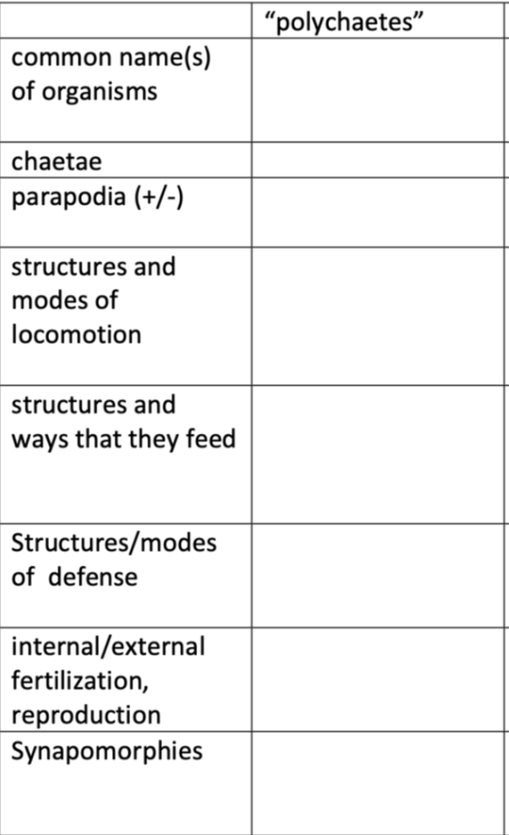 “polychaetes common name(s) of organisms chaetae parapodia (+/-) structures and modes of locomotion structures and ways that