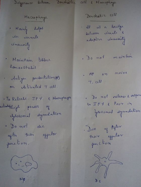 Denchelic cell otr in nmnlu . Do mot m ain faur Maintain tdhn Р.on eo stagį.8 Ap on maine sosoma Do mol pa tudi olee hin f1