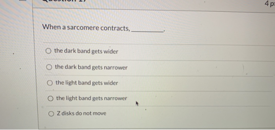 4p When a sarcomere contracts, the dark band gets wider O the dark band gets narrower O the light band gets wider o the light