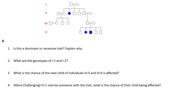 Is this a dominant or recessive trait? Explain why