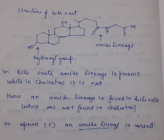 structure f bile salt PH N OH T amide linkage Ho q zbisa m bile hydronyl group calts amide linkage is present while in choles