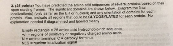 3. (25 points) You have predicted the amino acid sequences of several proteins based on their open reading frames. The signif