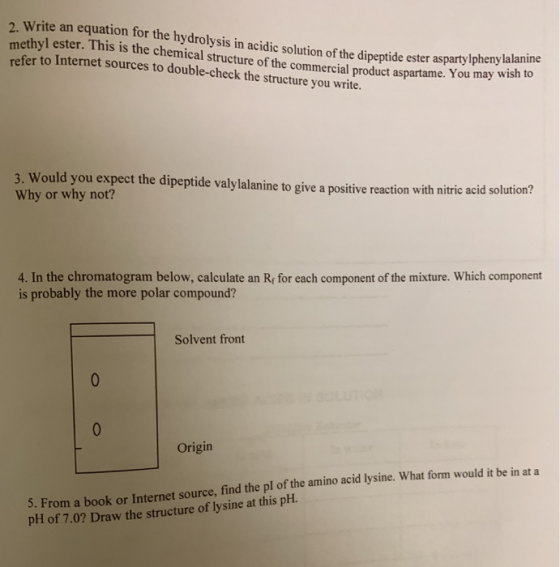 2 Write an equation for the hydrolysis in acidic solution of the dipeptide ester aspartylpheny lalanin methyl ester. This is the chemical structure of the commercial product aspartame. You may refer to Internet sources to double-check the structure you write. 3. Would you expect the dipeptide valylalanine to give a positive reactio Why or why not? n with nitric acid solution? 4. In the chromatogram below, calculate an Re for each component of the mixture. Which component is probably the more polar compound? Solvent front Origin 5. From a book or Internet source, find the pl of the amino acid lysine. What pH of 7.0? Draw the structure of lysine at this pH. form would it be in at a