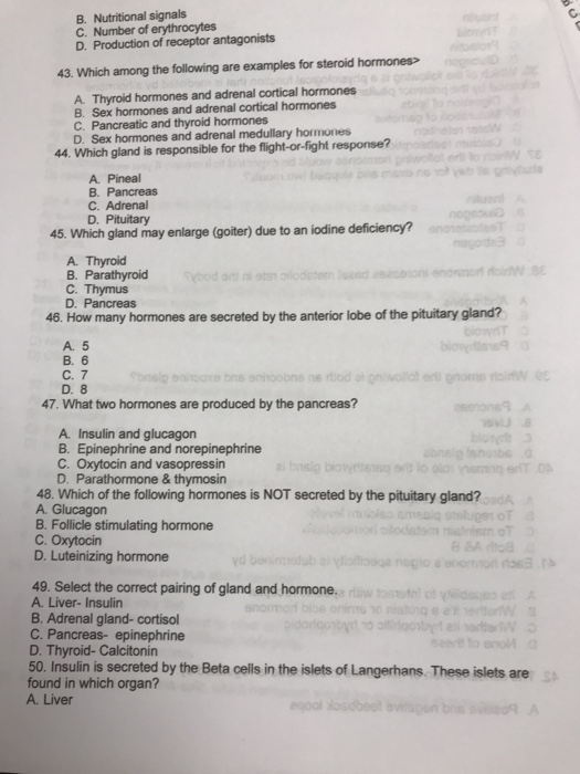 B. Nutritional signals C. Number of erythrocytes D. Production of receptor antagonists 43. Which among the following are examples for steroid hormones> A. Thyroid hormones and adrenal cortical hormones B. Sex hormones and adrenal cortical hormones C. Pancreatic and thyroid hormones D. Sex hormones and adrenal medullary hormones 44. Which gland is responsible for the flight-or-fight response? A. Pineal B. Pancreas C. Adrenal D. Pituitary 45. Which gland may enlarge (goiter) due to an iodine deficiency? A. Thyroid B. Parathyroid C. Thymus D. Pancreas 46. How many hormones are secreted by the anterior lobe of the pituitary gland? A. 5 B. 6 C. 7 D. 8 47. What two hormones are produced by the pancreas? A. Insulin and glucagon B. Epinephrine and norepinephrine C. Oxytocin and vasopressin D. Parathormone & thymosin 48. Which of the following hormones is NOT secreted by the pituitary gland? A. Glucagon B. Follicle stimulating hormone C. Oxytocin D. Luteinizing hormone 49. Select the correct pairing of gland and hormone. A. Liver- Insulin B. Adrenal gland-cortiso C. Pancreas- epinephrine D. Thyroid- Calcitonin 50. Insulin is secreted by the Beta cells in the islets of Langerhans These islets are found in which organ? A. Liver St