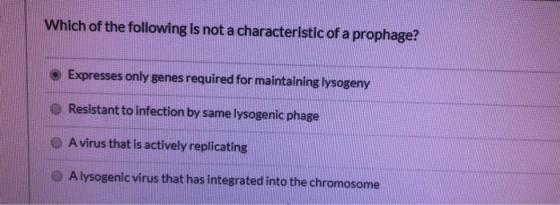 Which of the following is not a characteristic of a prophage? Expresses only genes required for maintaining lysogeny Resistan