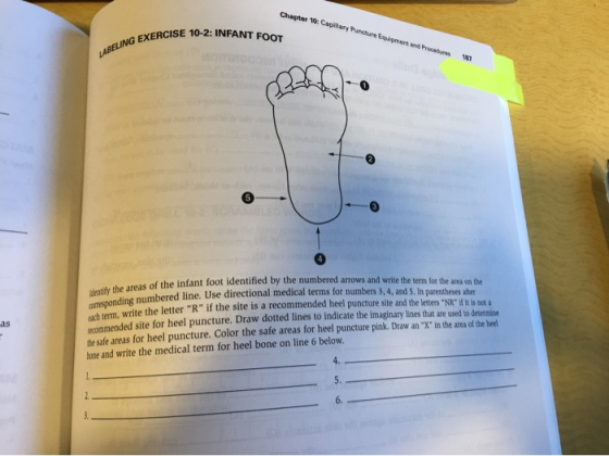 Chapter 10: Capillary Puncture Equiment EXERCISE 10-2: INFANT FOOT Pro LABELING EXER Identify the areas of the infant foot as