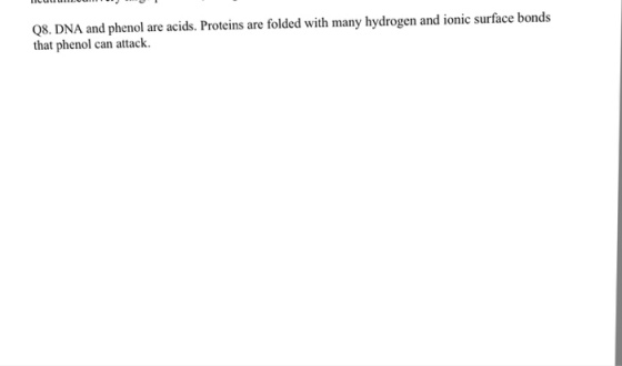 08. DNA and phenol are acids. Proteins are folded with many hydrogen and ionic surface bonds that phenol can attack.