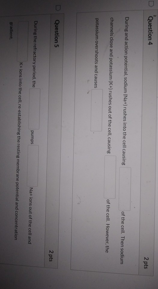Question 4 2 pts During and action potential, sodium (Na+) rushes into the cell causing of the cell. Then sodium channels clo