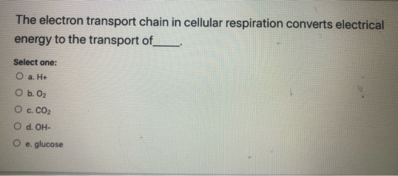 The electron transport chain in cellular respiration converts electrical energy to the transport of Select one: O a. H+ O b.0