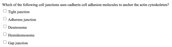 Which of the following cell junctions uses cadherin cell adhesion molecules to anchor the actin cytoskeleton? Tight junction
