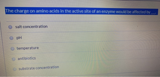The charge on amino acids in the active site of an enzyme would be affected by _. salt concentration Орн O temperature antibi