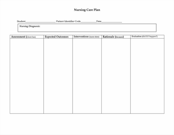 Nursing Care Plan Student Patient Identifier Code Date Nursing Diagnosis: Assessment (client has) Expected OutcomesInterventions (nurse does) Rationale (because)Evaluation (did EO happen?)