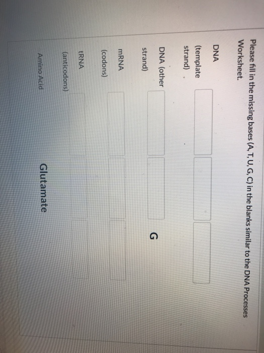 Please fill in the missing bases (A, T, U, G, C) in the blanks similar to the DNA Processes Worksheet. DNA (template strand)