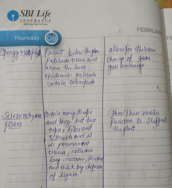 SBI Life INSURANCE With Us, Youre Sure FEBRUARY FE Thursday 08 Present below the plas | allow for the inter Palisade tissue
