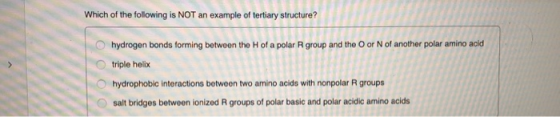 Which of the following is NOT an example of tertiary structure? hydrogen bonds forming between the Hof a polar Rgroup and the