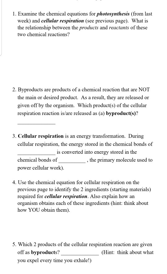 1. Examine the chemical equations for photosynthesis (from last week) and cellular respiration (see previous page). What is t