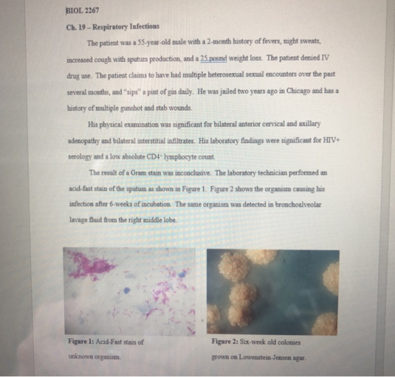 BIOL 2267 Ch. 19-Respiratory Infections The patient was a 55-year-old male with a 2-month history of fevers, night sweats, in