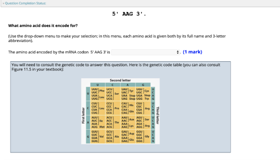 Question Completion Status: 5 AAG 3. What amino acid does it encode for? (Use the drop-down menu to make your selection; in