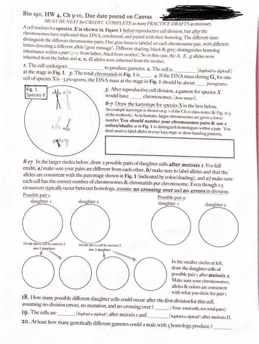 Bio 190, HW 4, Ch 9-10, Due date posted on Canvas MUST BENEATH CREDIT COMPLETE as many PRACTICE DRAFTS as newy. Acell nucleus
