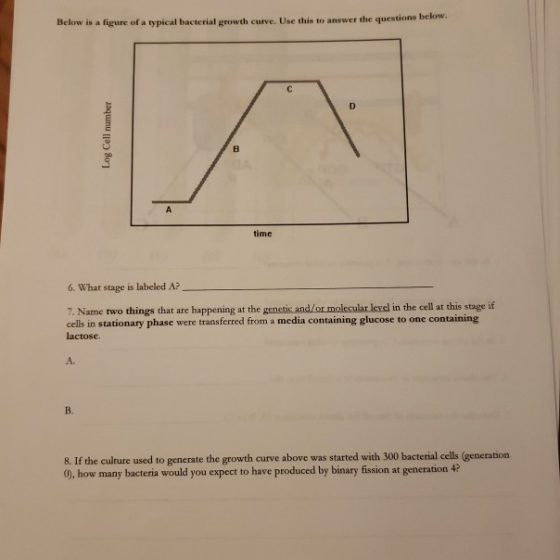 Below is a figure of a typical bacterial growth curve. Use this to answer the questions below. Log Cell number 6. What stage