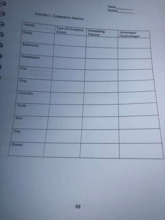 Name Section Exercise 1. Comparative Anatomy Animal Hydra Type of Circulatory System Outstanding Features Advantages Disadvan