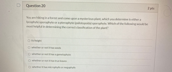 Question 20 2 pts You are hiking in a forest and come upon a mysterious plant, which you determine is either a lycophyte spor