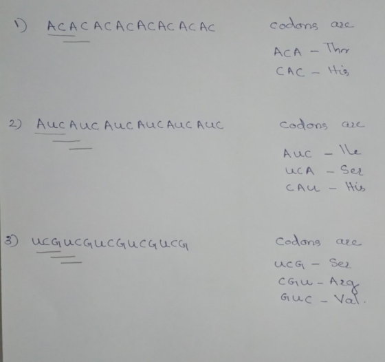 D ACACACACACACACAC codons are ACA .The CAC- His 2) AUCAUC AUC AUCAUC Auc codons are Auc UCA CAU Ser His 3) UCGUCGUCGUCGUCG co