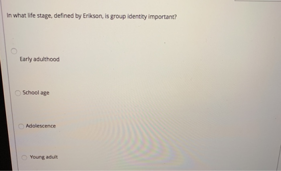 In what life stage, defined by Erikson, is group identity important? Early adulthood School age Adolescence Young adult