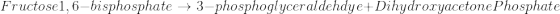 Fructosel, 6-bisphosphate + 3-phosphoglyceraldehdye+Dihydroxyacetone Phosphate