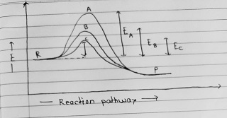 • Reaction pathway
