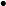 \bullet