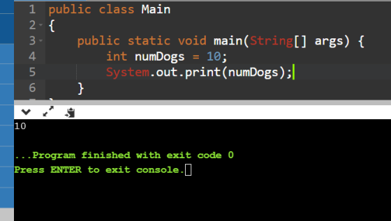 1 public class Main 2. { 3 public static void main(String[] args) { 4 int numDogs = 10; 5 System.out.print(numDogs);|| 6 } 10