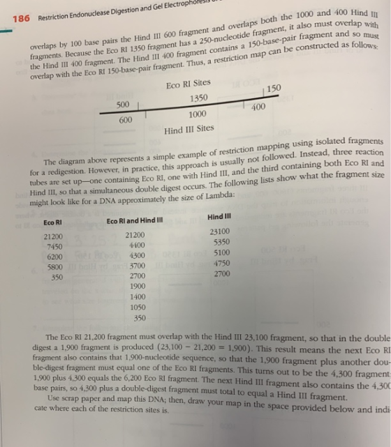 186 Restriction Endonuclease Digestion and Gel Electrophoresis on overlaps by 100 base pairs the Hind III 600 fragment and ov