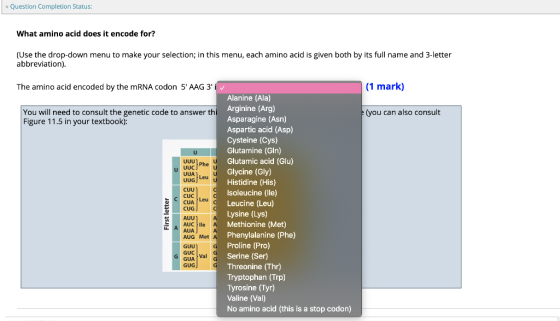 Question Completion Status: What amino acid does it encode for? (Use the drop-down menu to make your selection; in this menu,