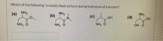 Which of the following is mostly likely to form during hydrolysis of a protein? (a) NH, NH (b) (c) OH (d) NH2 OH NHA Ô NHA 0