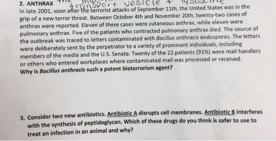 2. ANTHRAXt In late 2001, soon after the terrorist attacks of September 11th, the United States was in the grip of a new terror threat. Between October 4th and November 20th, twenty-two cases of anthrax were reported. Eleven of these cases were cutaneous anthrax, while eleven were pulmonary anthrax. Five of the patients who contracted pulmonary anthrax died. The source of the outbreak was traced to letters contaminated with Bacillus anthracis endospores. The letter were deliberately sent by the perpetrator to a variety of prominent individuals, including members of the media and the U.S. Senate. Twenty of the 22 patients (91%) were mail handlers or others who entered workplaces where contaminated mail was processed or received. Why is Bacillus anthracis such a potent bioterrorism agent? 3. Consider two new antibiotics. Antibiotic A disrupts cell membranes. Antibiotic B inter feres with the synthesis of peptidoglycan. Which of treat an infection in an animal and why? these drugs do you think is safer to use to