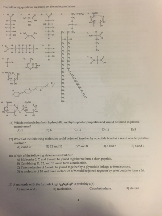 The following questions are based on the molecules below. f- 16) Which molecule has both hydrophilic and hydrophobic properties and would be found in plasma membranes? A) 1 B) 6 C)12 D) 14 E)5 17) Which of the following molecules could be joined together by a peptide bond as a result of a dehydration reaction? A) 2 and 3 B) 12 and 13 C7 and 8 D) 3 and 7 E) 8 and 9 18) Which of the following statements is FALSE? A) Molecules 2,7, and 8 could be joined together to form a short peptide. B) Combining 11, 12, and 13 could form a nucleotide. C) Two molecules of 6 could be joined together by a glycosidic linkage to form sucrose. D) A molecule of 10 and three molecules of 9 could be joined together by ester bonds to form a fat. 19) A molecule with the formula C1oH 12N$06P is probably a(n) A) amino acid B) nucleotide. C) carbohydrate. D) steroid.