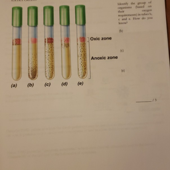 Identify the group of organisms (based on their oxygen requirements) in tubes b, cand e. How do you know? 13 J Oxic zone Anox