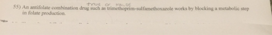 hrue or FALSE 55) An antifolate combination drug such as trimethoprim-sulfamethoxazole works by blocking a metabolic step in