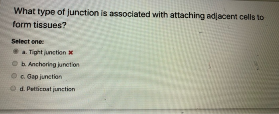 What type of junction is associated with attaching adjacent cells to form tissues? Select one: a. Tight junction * b. Anchori