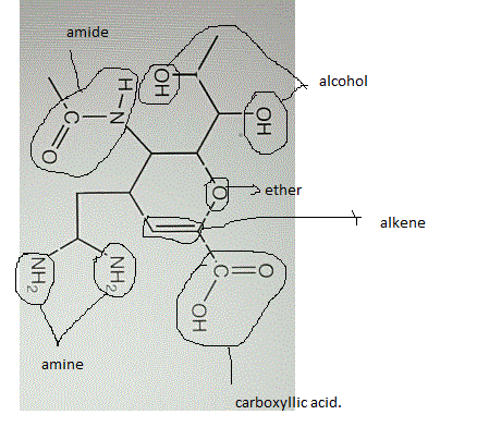 amide alcohol 피! ether alkene amine carboxyllic acid.