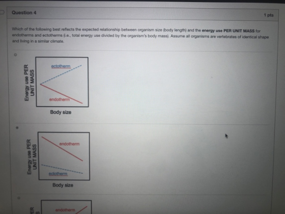 Question 4 1 pts Which of the following best reflects the expected relationship between organism size (body length) and the e